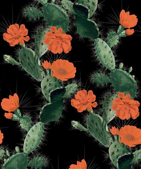 Cactus Wallpaper Cactus Design Mexico Wallpaper Iphone Background