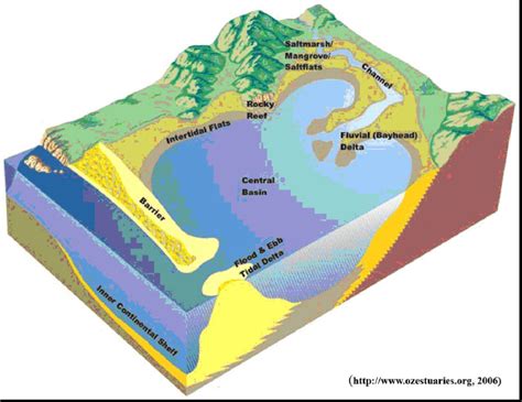 Depositional Environments Comprising A Wave Dominated Estuary Or