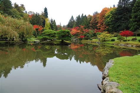 Fall In Love With The Japanese Botanical Garden The Whole U