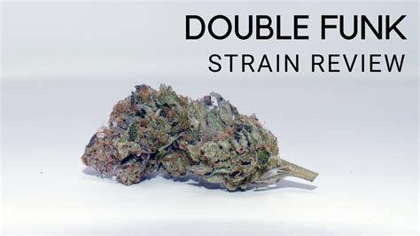 Double Funk Strain Review Youtube