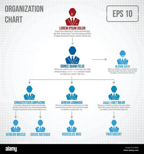 Organigrama infografía de jerarquía de la empresa boss a empleado estructura ilustración