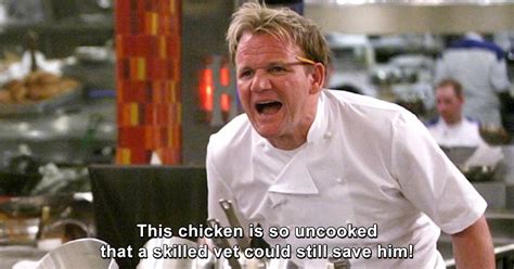 20 of gordon ramsay s funniest ever insults and quotes