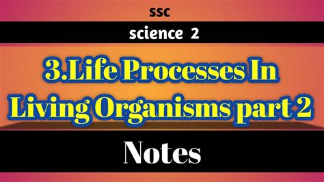3life Processes In Living Organisms Part 2 Notes Of 10thnotes Of Life