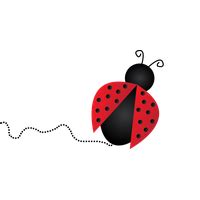 Download Ladybug Free PNG Photo Images And Clipart FreePNGImg