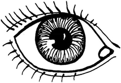 Eyes Coloring Pages, Kids Learn What It is Used for - Coloring Pages