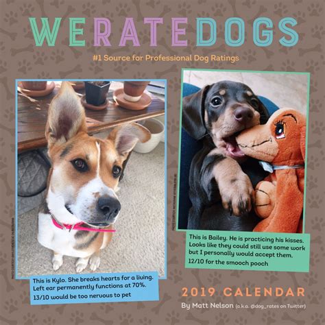 We Rate Dogs Calendar 2024 2024 Calendar Printable