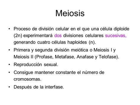 Cual Es El Proceso De La División Celular Consejos Celulares