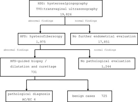 A Flow Chart Of Routine Infertility Investigations Of The Uterine