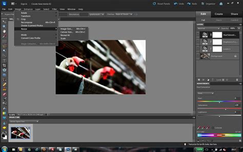 Adobe premiere elements 2020 menambahkan berbagai fitur unggulan dibandingkan dengan versi sebelumnya. HD限定 Adobe Premiere Elements 13 ダウンロード - サゴタケモ
