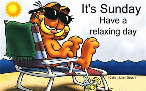 Pin By Michelle Glenda On Days Of Weekweekend Garfield Cartoon Work