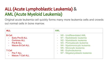 Understanding Leukemia