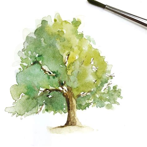 Watercolor Oak Tree Tree Watercolor Painting Watercolor Trees Tree
