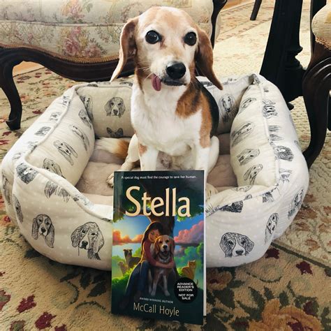 Review And Giveaway For Stella By Mccall Hoyle Beagles And Books
