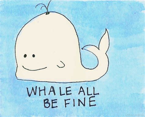 Whale Funny Quotes Quotesgram