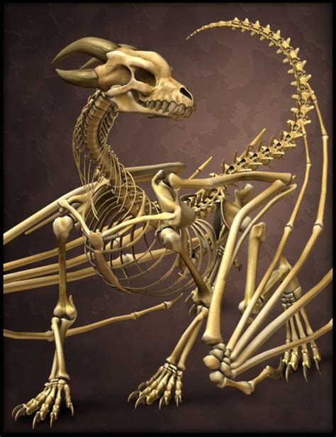 The Bone Dragon 3d Models And 3d Software By Daz 3d Fantasy Dragon