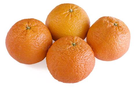 Four Oranges Stock Photo Image Of Close T Dessert 43861750