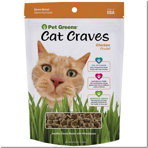 Semi Moist Cat Food For Kittens Best Reviews