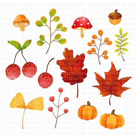 Watercolor Autumn Leaves Clipart Fall Leaves Clipart Etsy