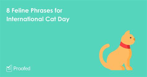 However, programs such as trap, neuter, and release (tnr) are making it possible for cats to live full. 8 Feline Phrases for International Cat Day | Proofed's ...