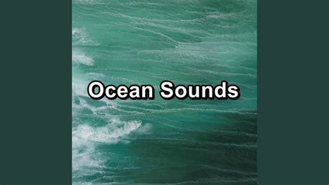 Beach Sounds Water Sounds Loopable For 8 Hours Youtube
