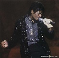 Motown 25 - Michael Jackson Photo (12955087) - Fanpop