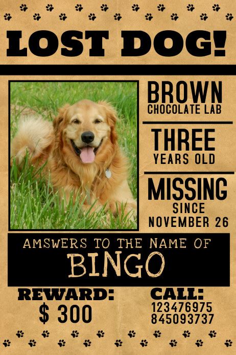 Missing Pet Flyer Template