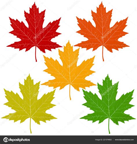 Autumn Leaves Red Maple Leaf Including Orange Yellow Green Symbols
