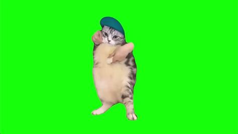 Cat Dances To Girlfriend Green Screen Youtube