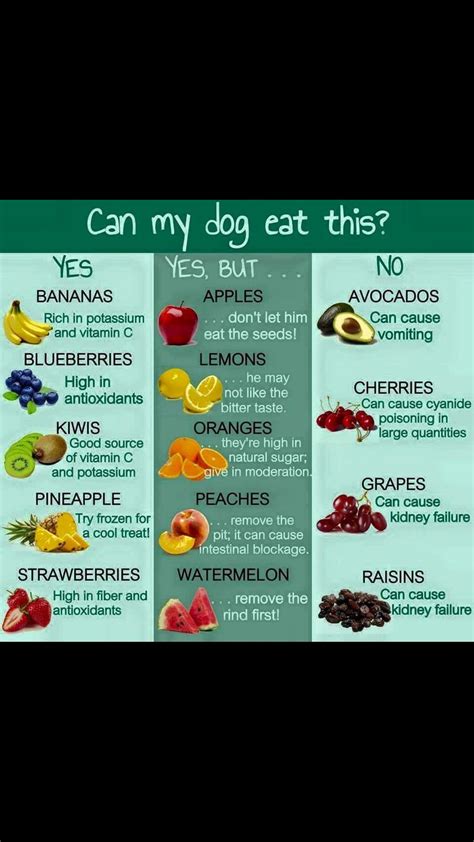 Printable List Of Foods Dogs Can And Cannot Eat