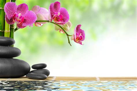 Zen Flowers Print A Wallpaper