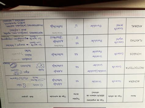 realiza un cuadro comparativo que indica que las caracteristicas mas