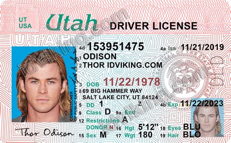 Editable Drivers License Template