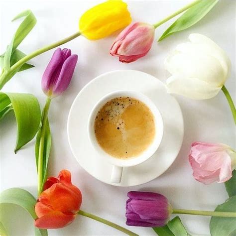 Coffee With Tulips Around It Good Morning Coffee Coffee Break Coffee
