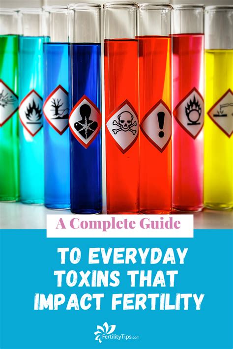 A Complete Guide To Everyday Toxins That Impact Fertility