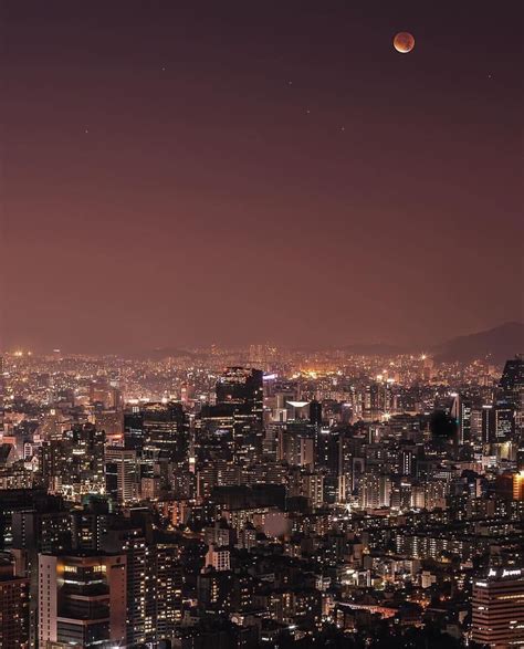 Seoul South Korea Aesthetic Night Go Images Ola