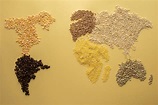 A World Map Made of Grains and Beans · Free Stock Photo