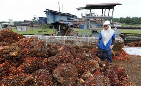 Kawasan perindustrian gebeng 124 km. Wanita pertama urus kilang minyak sawit di dunia - Yayasan ...