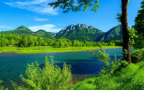 River Dunajec Poland Summer Landscape Mountains With