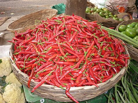 Why Are Chillies Hot And Why Do We Like Them So Much