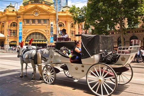 Horse and carriage ride houston. Melbourne CBD and Gardens Horse and Carriage Ride