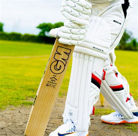 Important Cricket Gear Every Cricketer Should Own How Important