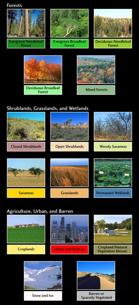 New Land Cover Classification Maps