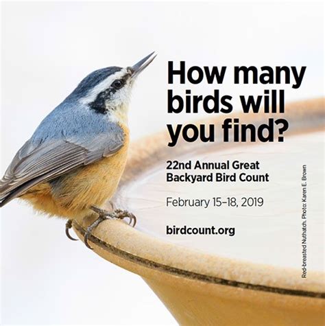 Started by the cornell lab of ornithology and the national audubon society. GREAT BACKYARD BIRD COUNT - CALVERT COUNTY - Southern ...