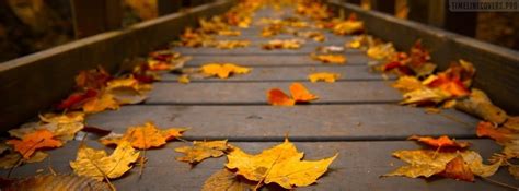 Get the best fall ~*facebook cover*~, just smash the download button. Photography Fall Bridge Facebook Cover