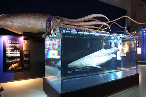 発光生物に巨大生物！ 驚きの深海の住人たちと出会う、特別展『深海2017』をレポート Spice エンタメ特化型情報メディア スパイス