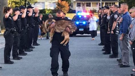 K9 Honored In Final Salute Before Being Put Down