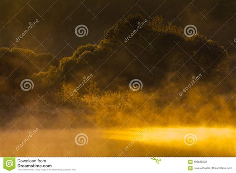 Morning Mist Over The Surface Of Water Stock Photo Image Of Purity