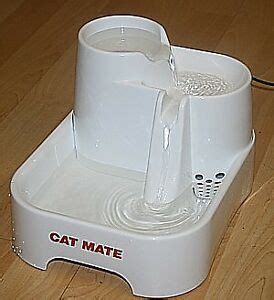 She would wake me up every morning at 5 ish. Cat Mate Pet Fountain | eBay