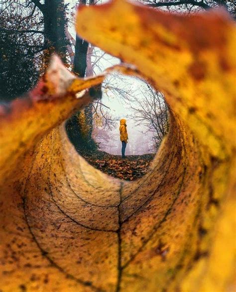 Photo By Salufi Perspective Photography Autumn Photography Creative