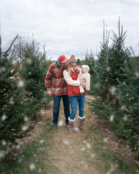 11 Christmas Tree Farms In Wisconsin Cut Your Christmas Tree